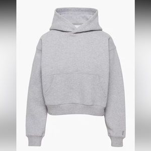 Aritzia Cozy Fleece Boyfriend Shrunken Hoodie